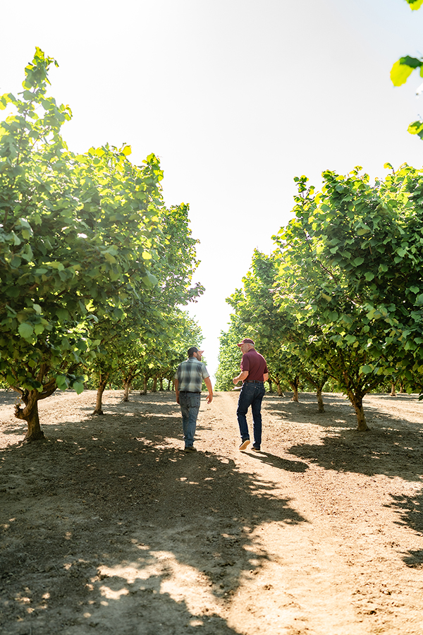 Cards Mechanism for change: Bringing crop insurance to Oregon