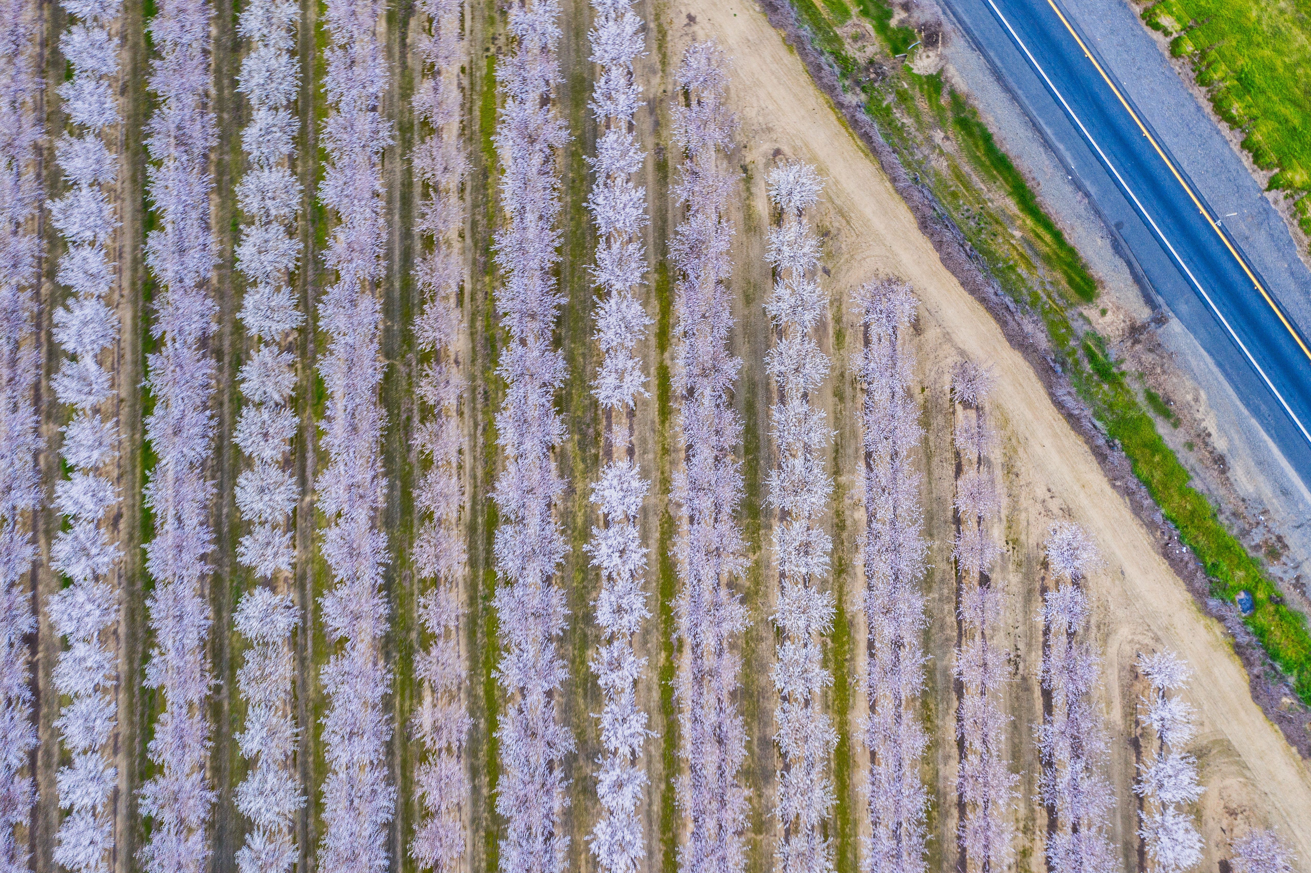 AdobeStock_255650816