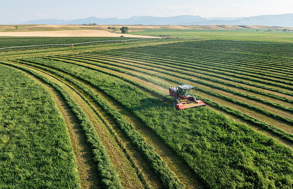 cards Agriculture Economic Update Webinar: Excellence at the Margin