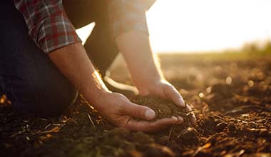 Hands in dirt