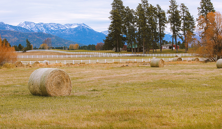 MontanaFeatured Image
