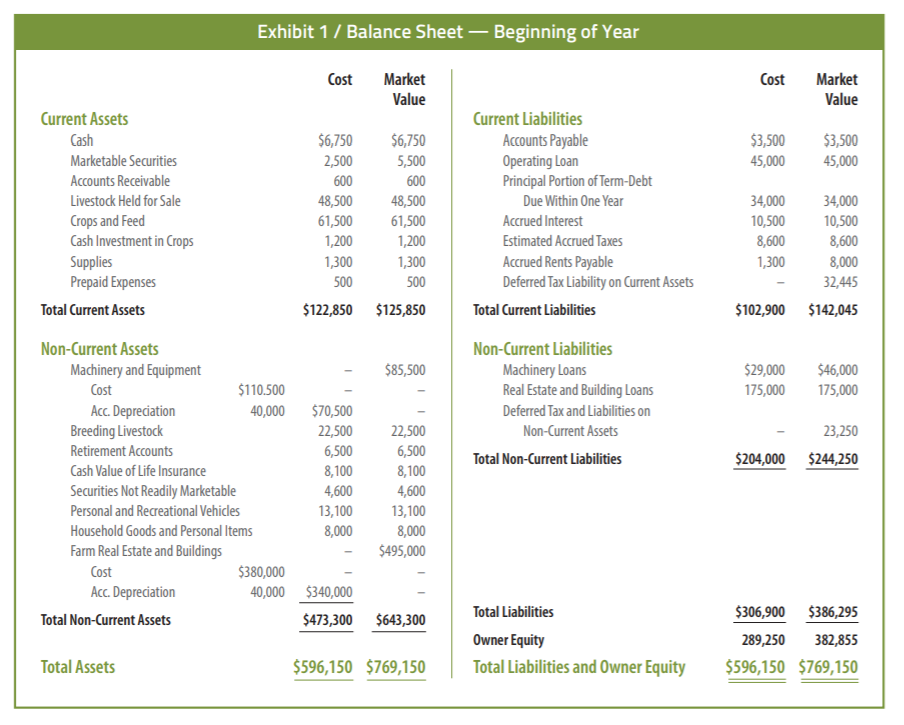 balance-sheet-beginning