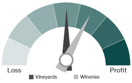 Wine and Vineyard 12 month profitability Outlook