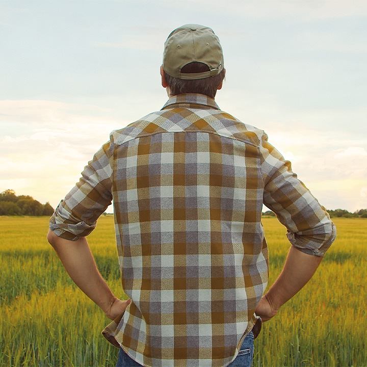 farmer looking over ag fields