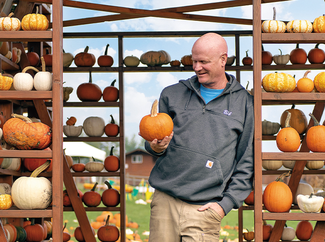 Cards From dairy barns to family destinations