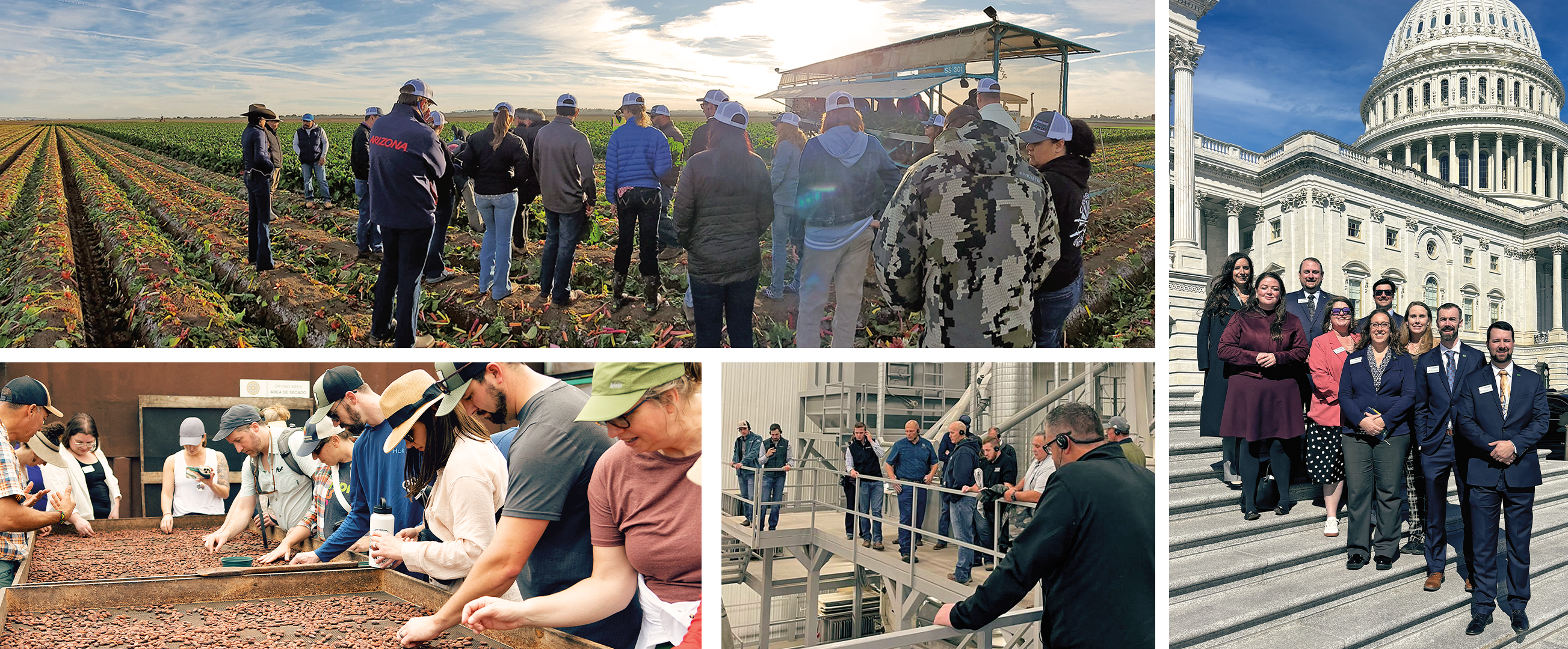 Stewardship program