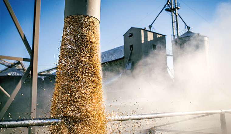 Motna farms rice pipe
